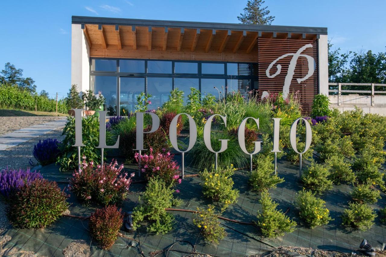 B&B Il Poggio Di Gavi Eksteriør bilde