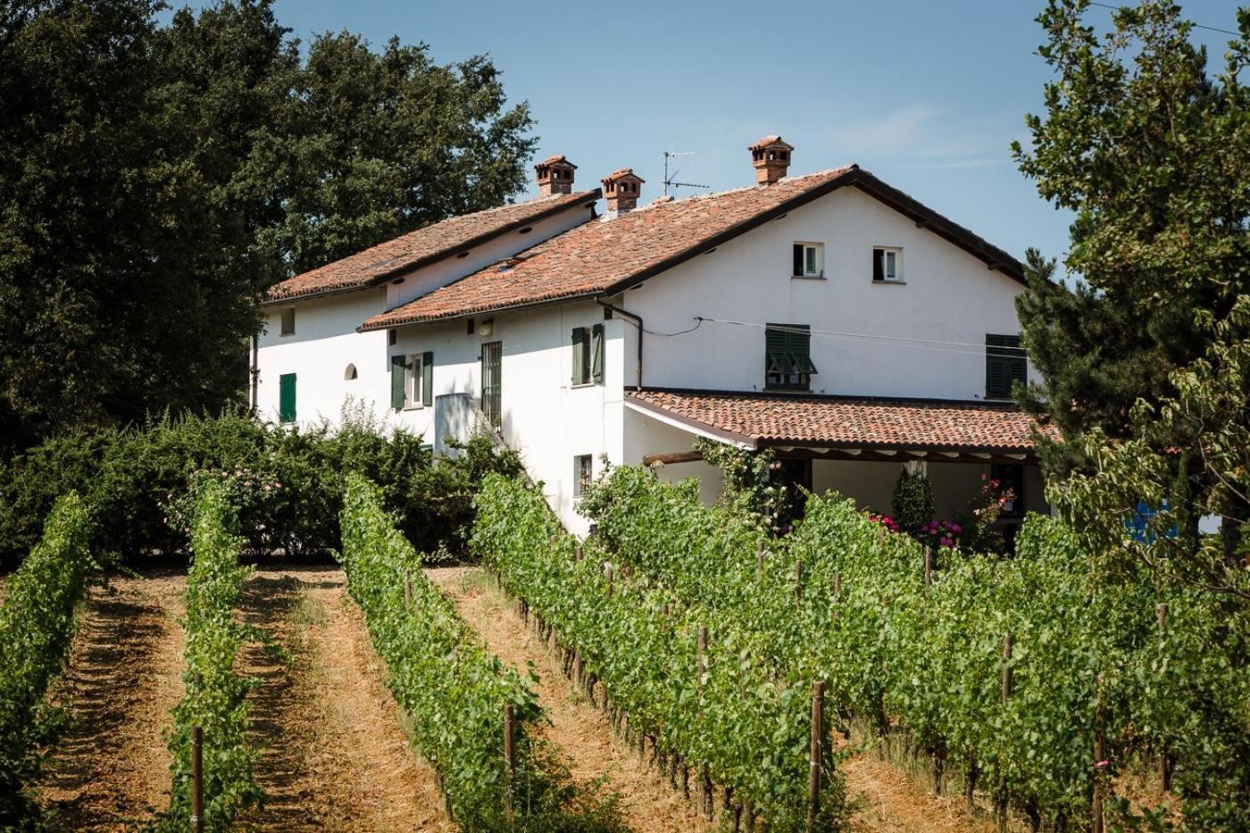 B&B Il Poggio Di Gavi Eksteriør bilde