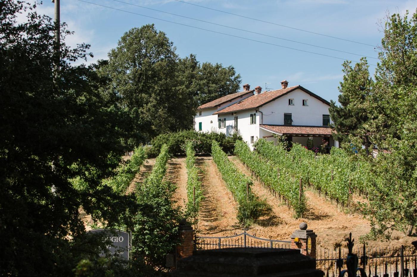 B&B Il Poggio Di Gavi Eksteriør bilde